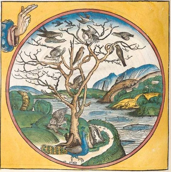 Ἐν ἀρχῇ: ἡμέρα&nbsp;πέμπτη