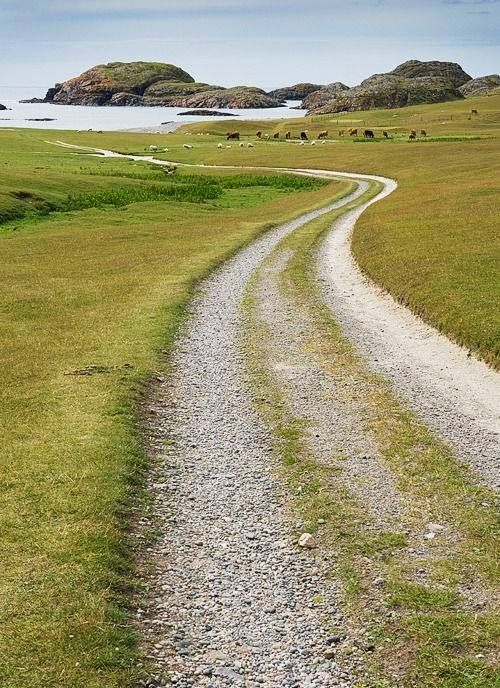 The Spirit and the&nbsp;Promise